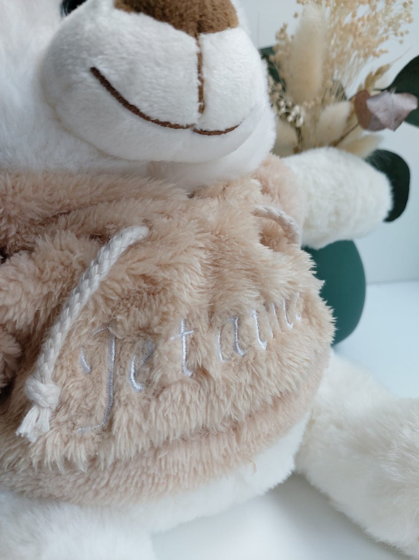 Doudou Ourson - Pull à capuche